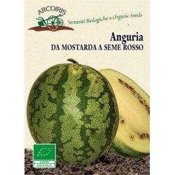 sandia blanca da motarda (semillas ecolÃ³gicas)