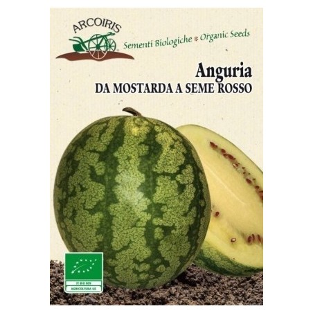sandia blanca da motarda (semillas ecolÃ³gicas)