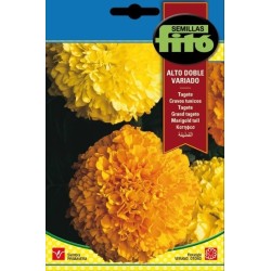 tagete alto doble variado