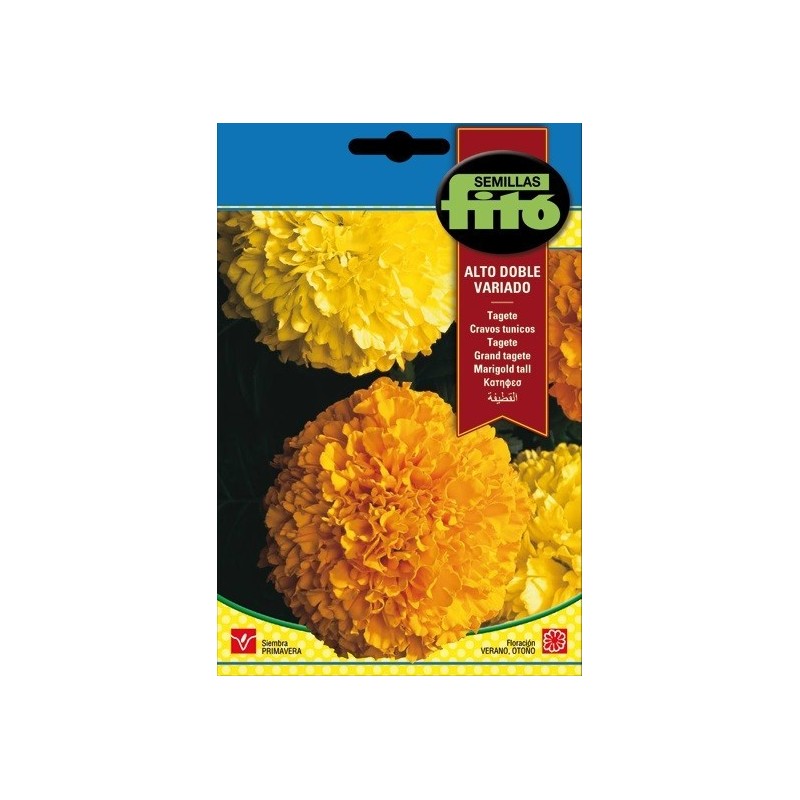 tagete alto doble variado