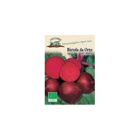 remolacha detroit bio - semillas ecolÃ³gicas