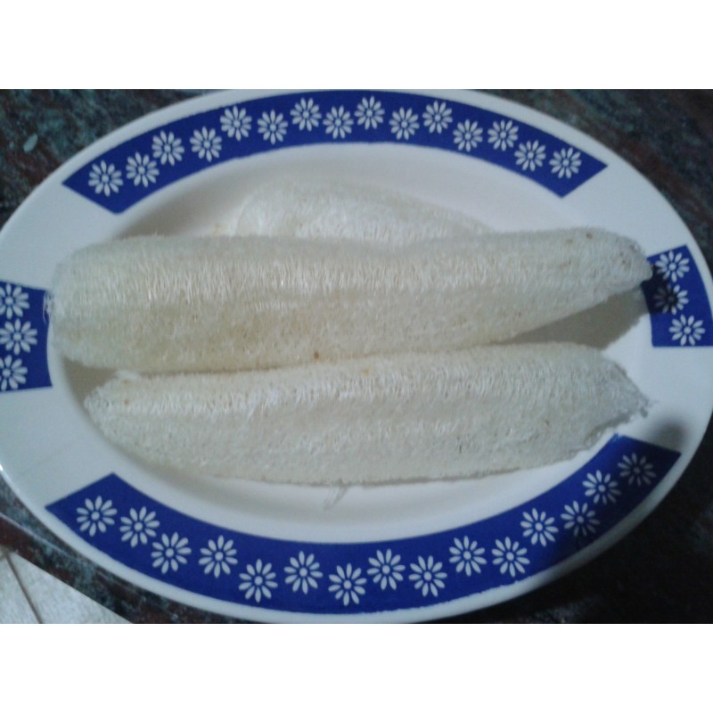 calabaza esponja - luffa