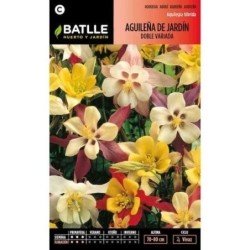 aguileÃ±a de jardÃ­n doble variada