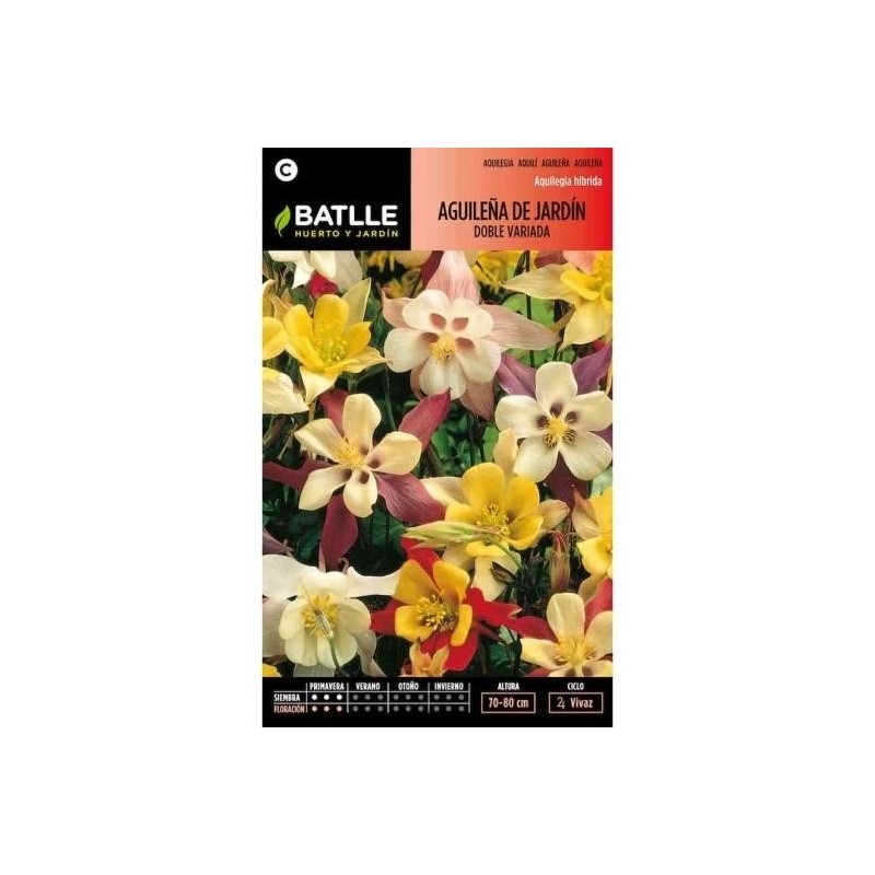 aguileÃ±a de jardÃ­n doble variada