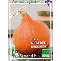 calabaza potimarron tipo hokkaido kuri red - semillas ecologicas