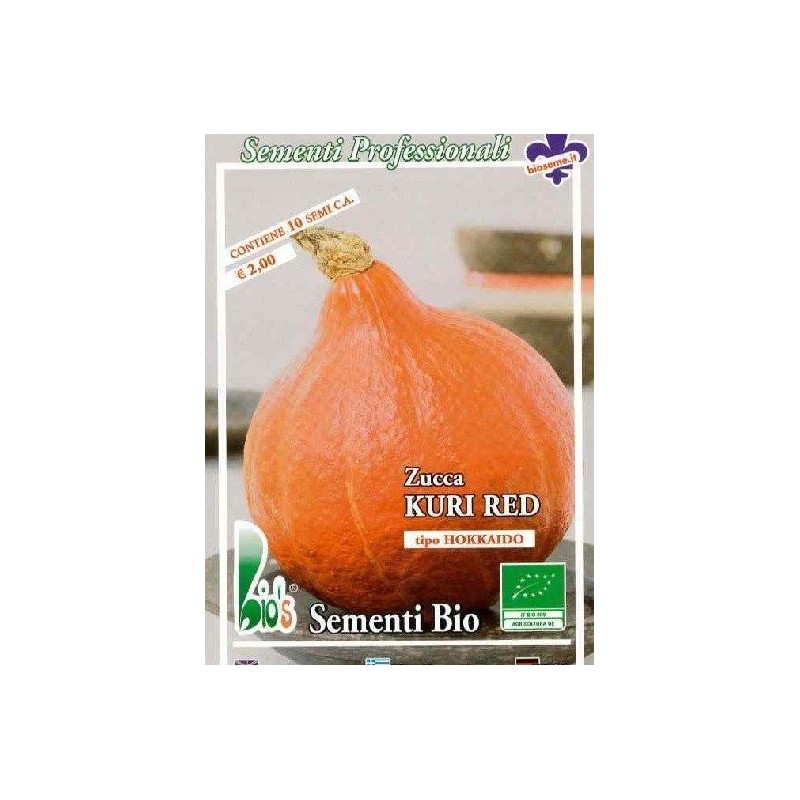 calabaza potimarron tipo hokkaido kuri red - semillas ecologicas