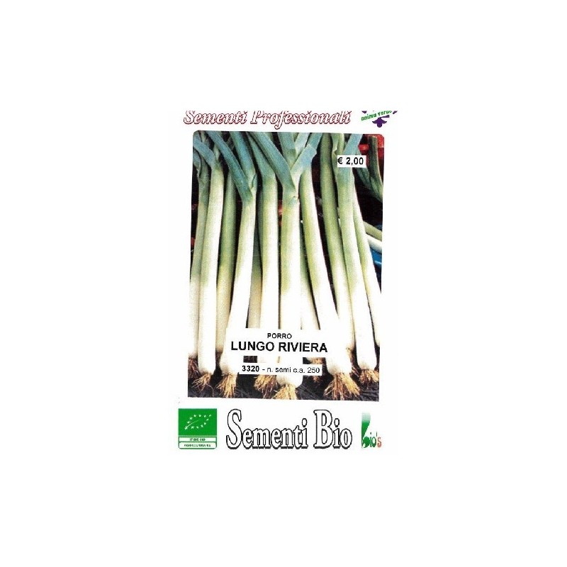 puerro largo riviera (semillas ecologicas)