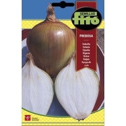cebolla prebosta