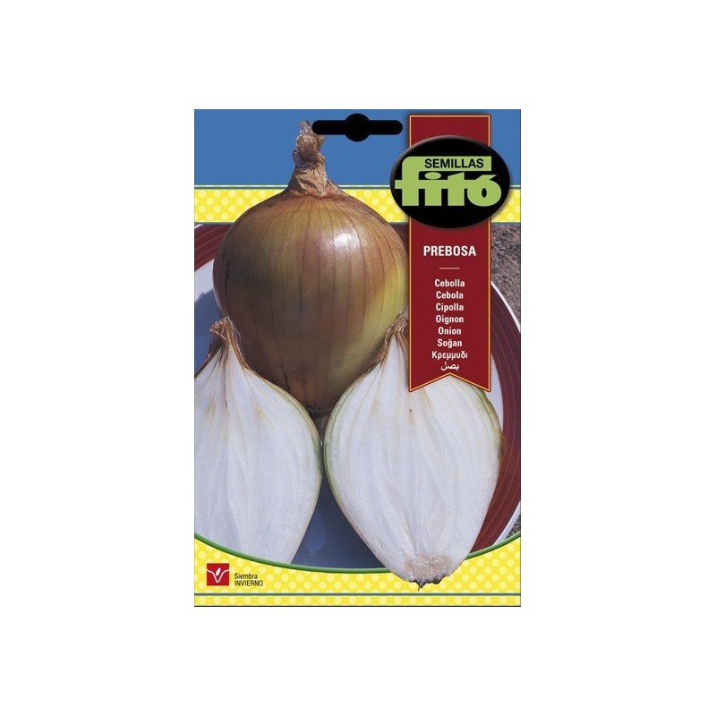 cebolla prebosta