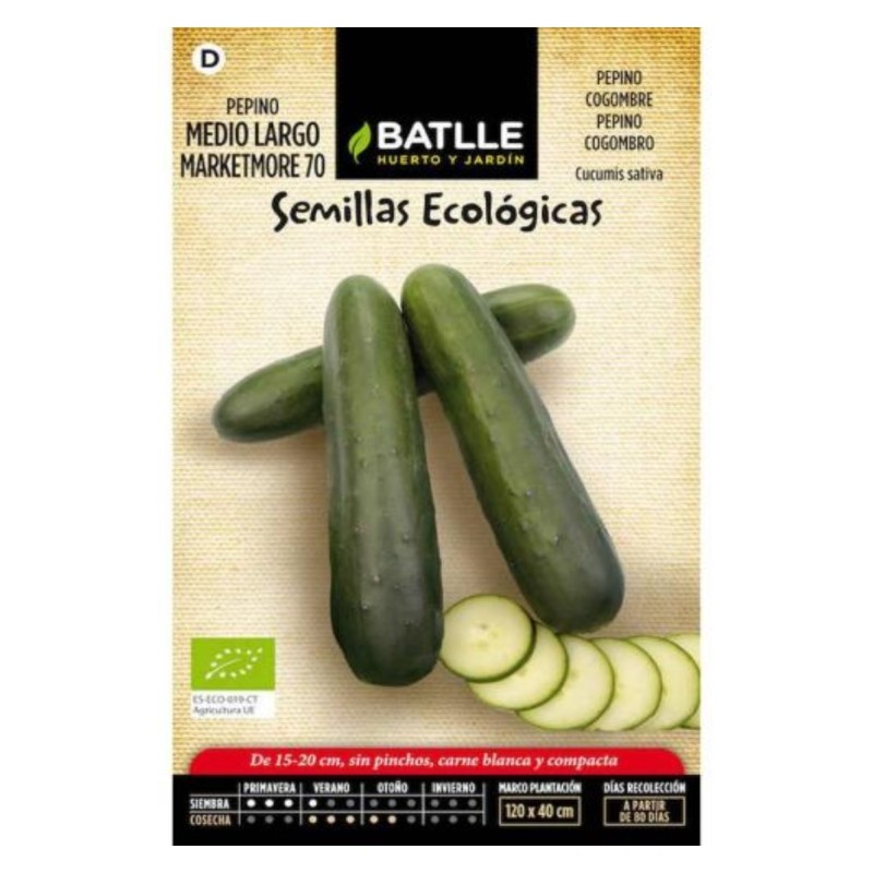 pepino largo marketmore 70 - semillas ecolÃ³gicas
