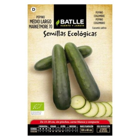 pepino largo marketmore 70 - semillas ecolÃ³gicas