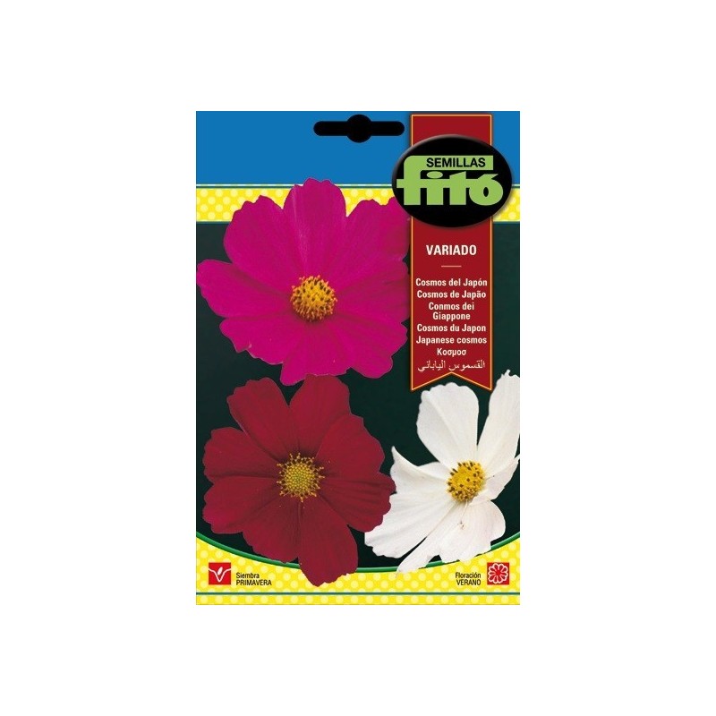 cosmos del JapÃ³n variado