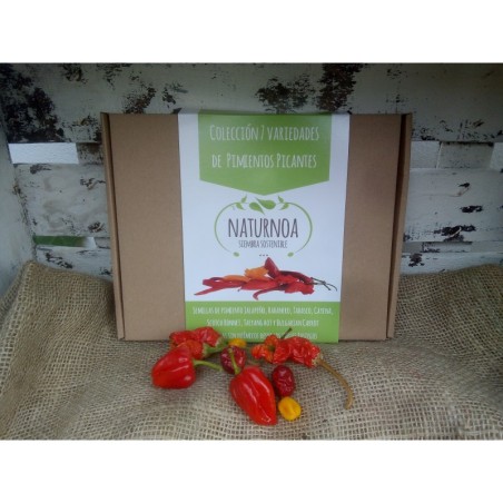 Caja regalo semillas de pimientos picantes
