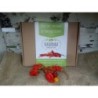 Caja regalo semillas de pimientos picantes