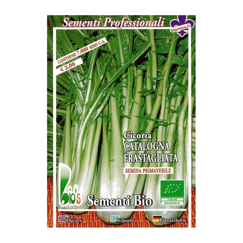 achicoria catalogna dentada (semillas ecolÃ³gicas)