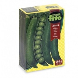 guisante enano Lincoln