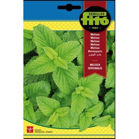 Melisa - Toronjil (Melissa officinalis)