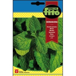 hierbabuena (mentha spicata)