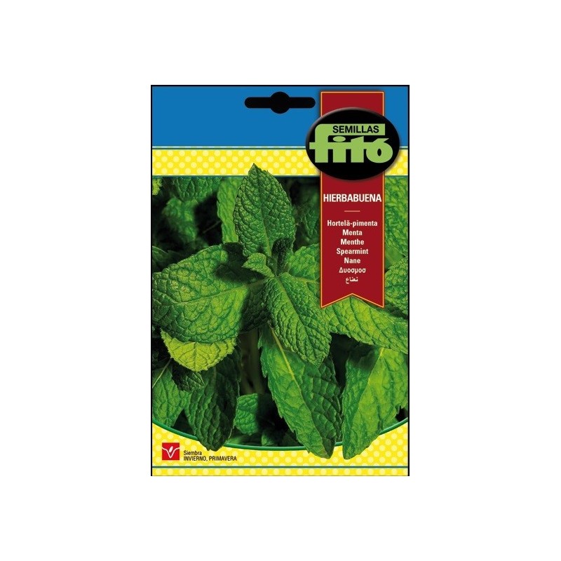 hierbabuena (mentha spicata)