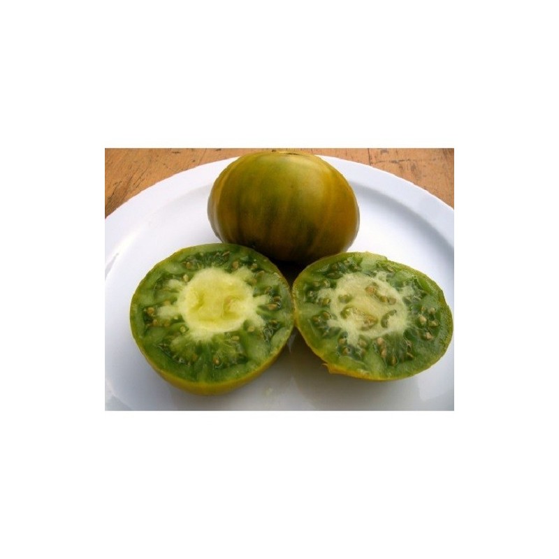 tomate verde de Orista, semillas ecologicas