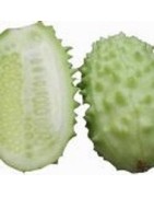 pepino West Indian Gherkin (semillas ecológicas)