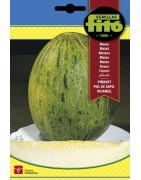 melon piñonet piel de sapo