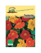 capuchina doble enana (semillas ecológicas)