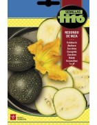 calabacin redondo de Niza