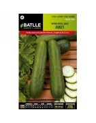 pepino Ashley medio - largo