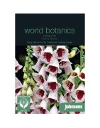 Foxglove Pam's Choice (dedalera)