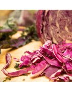 Col Lombarda Red Drumhead