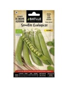 guisante alderman - semillas ecologicas batlle