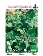 espinaca tetragonia - semillas ecológicas