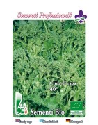 brocoli rapa quarantina - semillas ecologicas