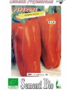 pimiento rojo nocera (semillas ecológicas)