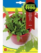 rucula cultivada - semillas fitó