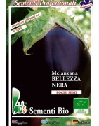 berenjena belleza negra - semillas ecológicas