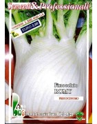 hinojo precoz de Siria semillas ecológicas