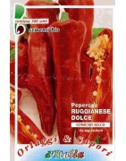 pimiento slonovo uvo (ruggianese) semillas ecológicas