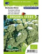 kale halbhoher (semillas ecologicas)