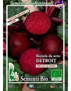 remolacha Detroit semillas ecológicas