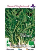 rucula selvatica - semillas ecologicas