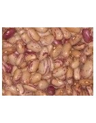 alubia pinta de Leon