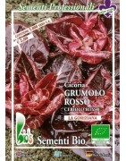 achicoria grumolo rojo - semillas ecologicas