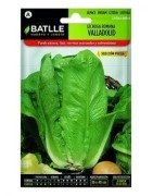 lechuga romana Valladolid sel Pucela