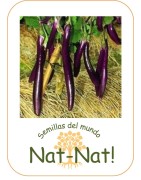 Berenjena farmers long F1