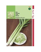 puerro gigante de Bulgaria