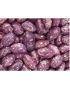 alubia tolosana redonda-palmeña