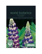 lupino (Lupinus polyphyllus) The Governor