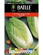 semillas de col china pe - tsai